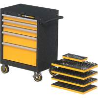 Mechanics Tool Set in Modular Foam Trays with Storage Unit, 247 Pieces Advanced Consulting and Training Ltd.