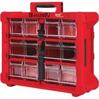 Organisateur PACKOUT &agrave; bac inclinable, 15-1/5" x 19-7/10" x 6-7/10", Noir/Rouge Advanced Consulting and Training Ltd.