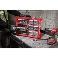 Organisateur PACKOUT &agrave; bac inclinable, 15-1/5" x 19-7/10" x 6-7/10", Noir/Rouge Advanced Consulting and Training Ltd.