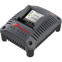 IQV20 Compact Battery Charger, 20 V, Lithium-Ion Advanced Consulting and Training Ltd.