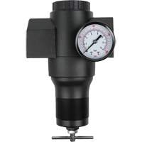 R&eacute;gulateur en aluminium, 1-1/2" NPT, PSI max. de 300 psi, Canalisation Advanced Consulting and Training Ltd.