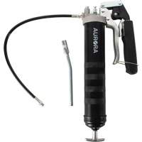 Pistolet-graisseur double &agrave; poign&eacute;e-levier Advanced Consulting and Training Ltd.