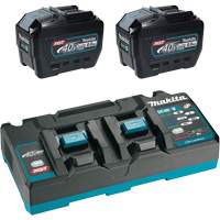 XGT Dual Port Rapid Charger Starter Kit with (2) 8 Ah Batteries, 40 V, Lithium-Ion Advanced Consulting and Training Ltd.