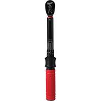 Torque Wrench, Click, 1/4" Square Drive, 4.5 - 22.6 N.m/40 - 200 in-lbs Advanced Consulting and Training Ltd.