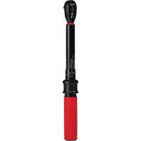 Torque Wrench, Click, 1/4" Square Drive, 4.5 - 22.6 N.m/40 - 200 in-lbs Advanced Consulting and Training Ltd.