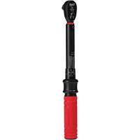 Torque Wrench, Click, 3/8" Square Drive, 5.6 - 28.2 N.m/50 - 250 in-lbs Advanced Consulting and Training Ltd.