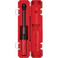 Torque Wrench, Click, 3/8" Square Drive, 20 - 100 in-lbs/27.1 - 135.6 N.m Advanced Consulting and Training Ltd.