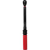 Torque Wrench, Click, 3/8" Square Drive, 20 - 100 in-lbs/27.1 - 135.6 N.m Advanced Consulting and Training Ltd.