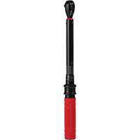 Torque Wrench, Click, 3/8" Square Drive, 20 - 100 in-lbs/27.1 - 135.6 N.m Advanced Consulting and Training Ltd.