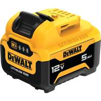MAX* Battery, Lithium-Ion, 12 V, 5 Ah Advanced Consulting and Training Ltd.