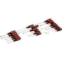 Dual Material Screwdriver Set, 20 Pcs. Advanced Consulting and Training Ltd.