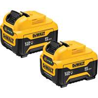 Max* Battery Packs, Lithium-Ion, 12 V, 5 Ah Advanced Consulting and Training Ltd.