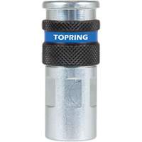 Raccord industriel rapide QUIKSILVER 2, Acier zingu&eacute;, 1/4", NPT femelle, 362 PSI Advanced Consulting and Training Ltd.