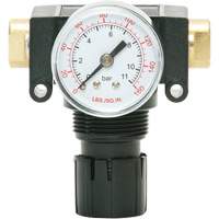 D&eacute;tendeur &agrave; piston en ac&eacute;tal MODULAIR 200, 1/4" NPT, PSI max. de 150 psi, Canalisation/Modulaire Advanced Consulting and Training Ltd.