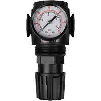 D&eacute;tendeur &agrave; air comprim&eacute; MODULAIR 300, 1/2" NPT, PSI max. de 300 psi, Canalisation/Modulaire Advanced Consulting and Training Ltd.