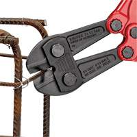 Large Bolt Cutters, 30" L, Center Cut Advanced Consulting and Training Ltd.
