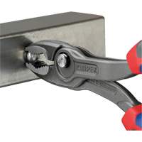 Pince TwinGrip Advanced Consulting and Training Ltd.