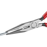 Pince &agrave; bec long avec coupe-fil, 6-1/4" lo Advanced Consulting and Training Ltd.