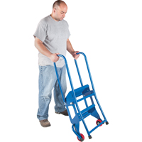Portable Folding Ladder, 2 Steps, Perforated, 20" High Advanced Consulting and Training Ltd.