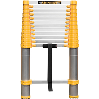 &eacute;chelle t&eacute;lescopique, 3' - 12', Aluminium, Capacit&eacute; de 250 lb, Type 1 Advanced Consulting and Training Ltd.