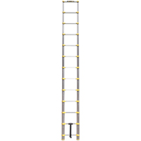 &eacute;chelle t&eacute;lescopique, 3' - 12', Aluminium, Capacit&eacute; de 250 lb, Type 1 Advanced Consulting and Training Ltd.