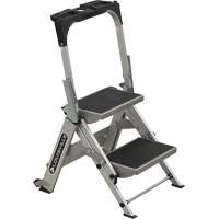 Tilt & Roll Step Stool Ladder, 2 Steps, 23" x 21" x 34.50" High Advanced Consulting and Training Ltd.