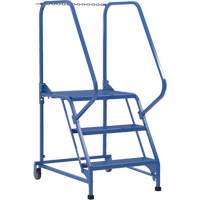 Maintenance Ladder, 3 Steps, 23-9/16" Step Width, 30" Platform Height, Steel Advanced Consulting and Training Ltd.