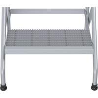Aluminum Step Stand, 2 Step(s), 22-13/16" W x 24-9/16" L x 20" H, 500 lbs. Capacity Advanced Consulting and Training Ltd.