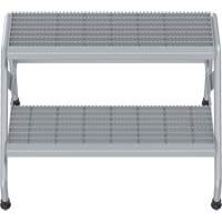 Aluminum Step Stand, 2 Step(s), 32-13/16" W x 24-9/16" L x 20" H, 500 lbs. Capacity Advanced Consulting and Training Ltd.