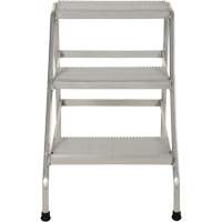Aluminum Step Stand, 3 Step(s), 22-13/16" W x 34-9/16" L x 30" H, 500 lbs. Capacity Advanced Consulting and Training Ltd.