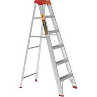 Step Ladder, 6', Aluminum, 200 lbs. Capacity, Type 3 Advanced Consulting and Training Ltd.