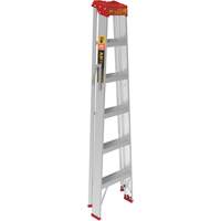 Step Ladder, 6', Aluminum, 200 lbs. Capacity, Type 3 Advanced Consulting and Training Ltd.