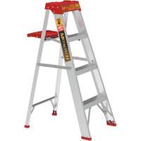Step Ladder with Paint Tray, 4', Aluminum, 200 lbs. Capacity, Type 3 Advanced Consulting and Training Ltd.