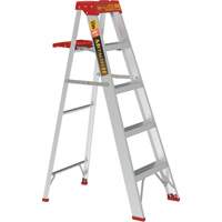 Step Ladder with Paint Tray, 5', Aluminum, 200 lbs. Capacity, Type 3 Advanced Consulting and Training Ltd.