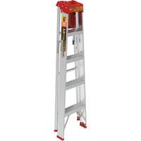 Step Ladder with Paint Tray, 5', Aluminum, 200 lbs. Capacity, Type 3 Advanced Consulting and Training Ltd.