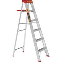 Step Ladder with Paint Tray, 6', Aluminum, 200 lbs. Capacity, Type 3 Advanced Consulting and Training Ltd.