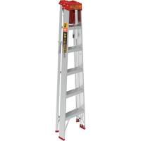Step Ladder with Paint Tray, 6', Aluminum, 200 lbs. Capacity, Type 3 Advanced Consulting and Training Ltd.