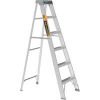 Step Ladder, 6', Aluminum, 225 lbs. Capacity, Type 2 Advanced Consulting and Training Ltd.