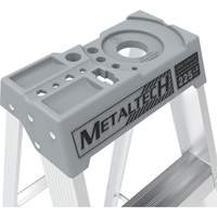 Escabeau avec plateau &agrave; peinture, 10', Aluminium, Capacit&eacute; 225 lb, Type 2 Advanced Consulting and Training Ltd.