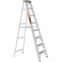 Step Ladder, 8', Aluminum, 225 lbs. Capacity, Type 2 Advanced Consulting and Training Ltd.
