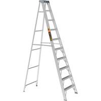 Step Ladder, 10', Aluminum, 225 lbs. Capacity, Type 2 Advanced Consulting and Training Ltd.