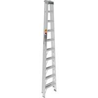Step Ladder, 10', Aluminum, 225 lbs. Capacity, Type 2 Advanced Consulting and Training Ltd.