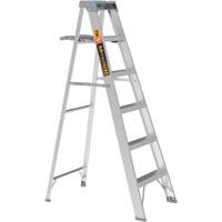 Step Ladder with Paint Tray, 6', Aluminum, 225 lbs. Capacity, Type 2 Advanced Consulting and Training Ltd.