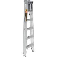 Step Ladder with Paint Tray, 6', Aluminum, 225 lbs. Capacity, Type 2 Advanced Consulting and Training Ltd.