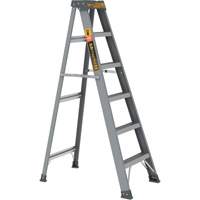 Escabeau, 6', Fibre de verre, Capacit&eacute; 225 lb, Type 2 Advanced Consulting and Training Ltd.
