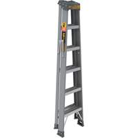 Escabeau, 6', Fibre de verre, Capacit&eacute; 225 lb, Type 2 Advanced Consulting and Training Ltd.