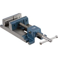 &eacute;taux polyvalents pour perceuse &agrave; colonne, Largeur des m&acirc;choires 4-1/2", Base Fixation par pince Advanced Consulting and Training Ltd.