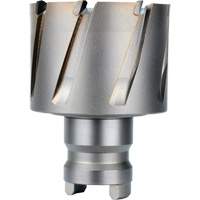 Quick Change Tang Drive Hawg&reg; Cutter, 2" Diameter, Steel, 1" Depth of Cut Advanced Consulting and Training Ltd.