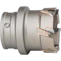 Quick Change Steel Plate Cutter Advanced Consulting and Training Ltd.