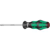 Phillips Screwdriver, #2, 8-1/16" L, Plastic Handle Advanced Consulting and Training Ltd.